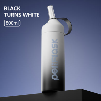 Peliflask 20oz/27oz Insulated Water Bottle with Stainless Steel Straw and Lid Vacuum Insulated