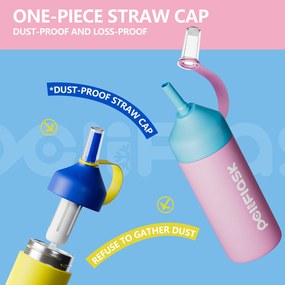 Peliflask 20oz/27oz Insulated Water Bottle with Stainless Steel Straw and Lid Vacuum Insulated