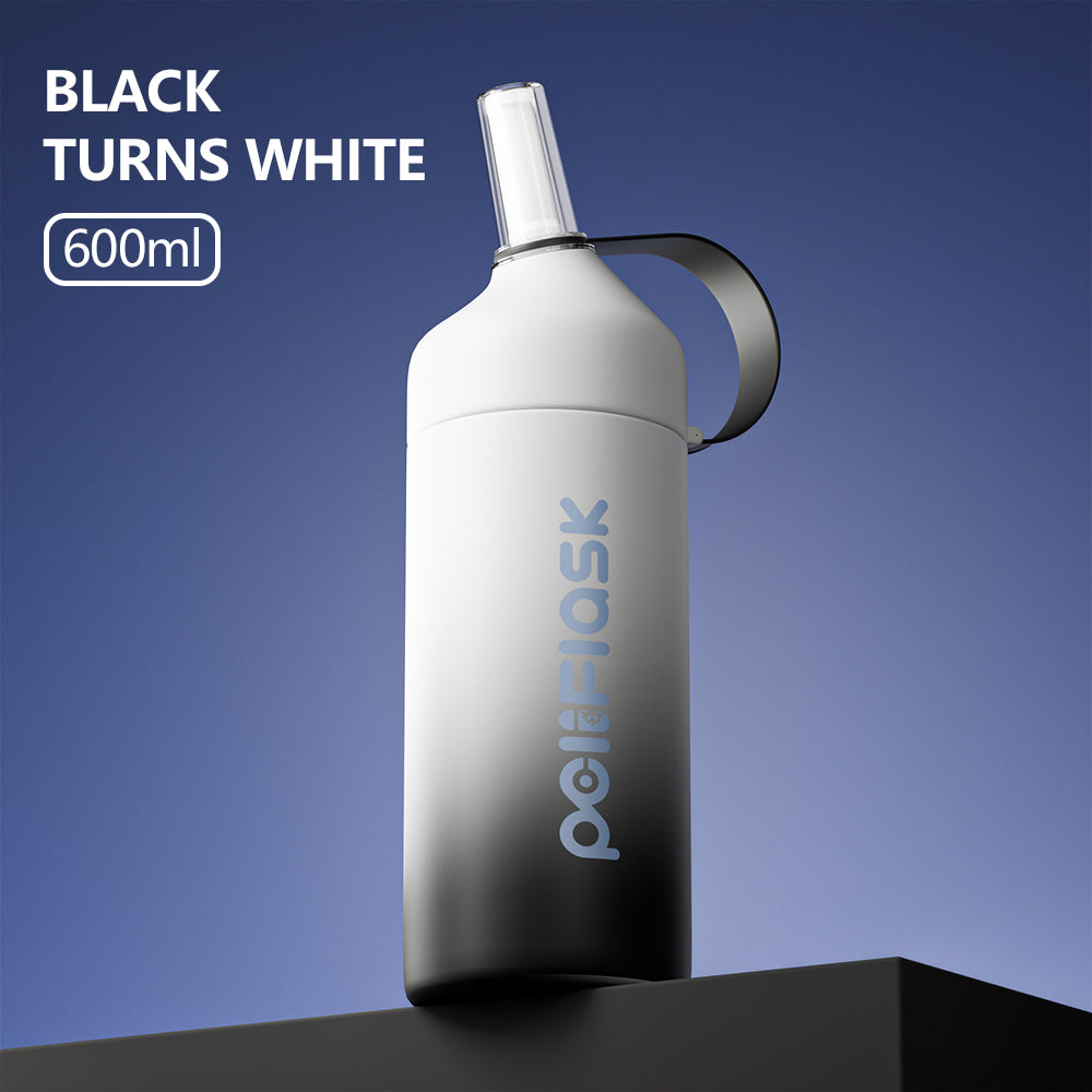 Peliflask 20oz/27oz Insulated Water Bottle with Stainless Steel Straw and Lid Vacuum Insulated