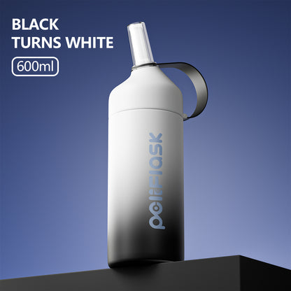 Peliflask 20oz/27oz Insulated Water Bottle with Stainless Steel Straw and Lid Vacuum Insulated