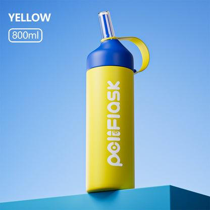 Peliflask 20oz/27oz Insulated Water Bottle with Stainless Steel Straw and Lid Vacuum Insulated